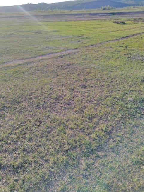 Земельные участки, продаю 2