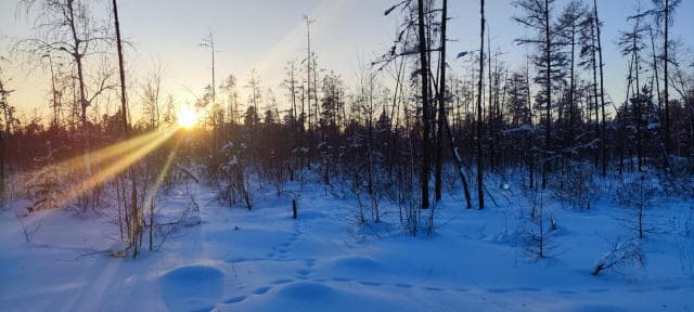 1200 м², земельные участки, продаю 2