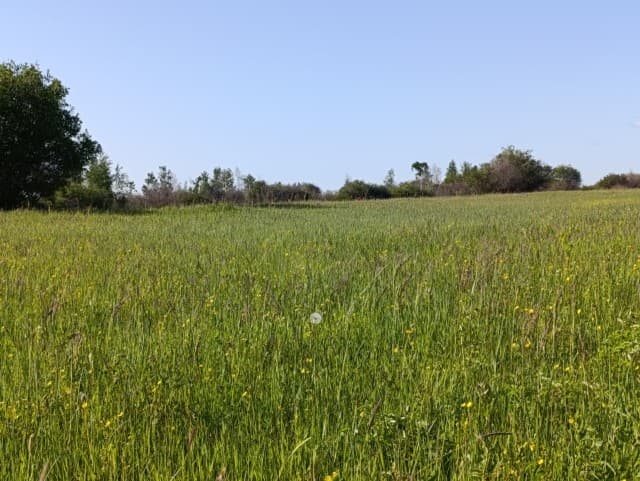 850 м², земельные участки, продаю 5