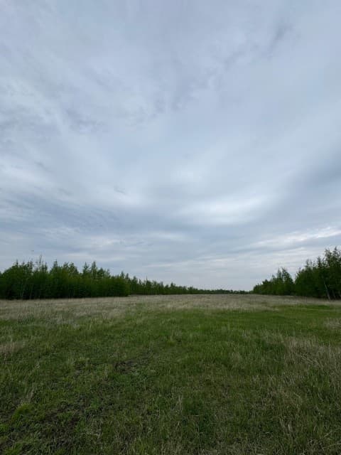 2000 м², земельные участки, продаю