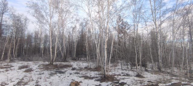 770 м², земельные участки, продаю 8