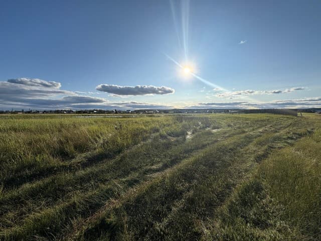 1200 м², земельные участки, продаю