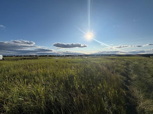 1200 м², земельные участки, продаю 3