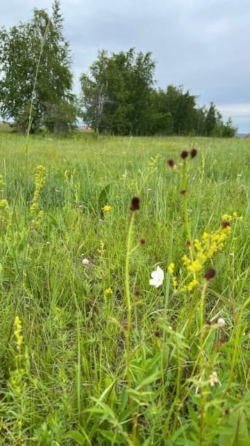 800 м², земельные участки, продаю 3