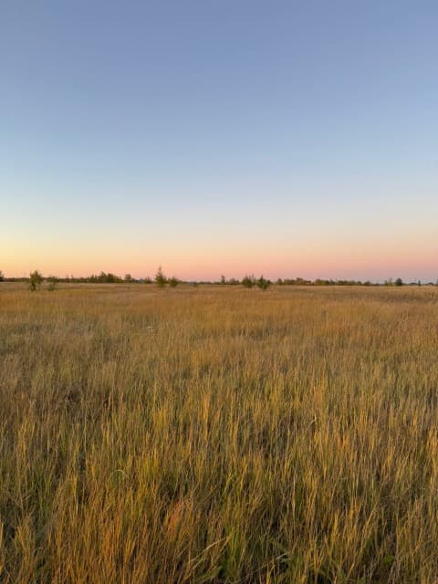 1000 м², земельные участки, продаю 2