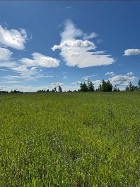 1000 м², земельные участки, продаю