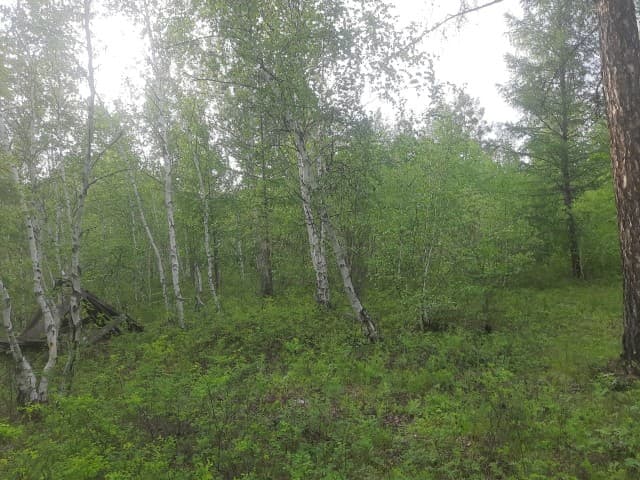 967 м², земельные участки, продаю