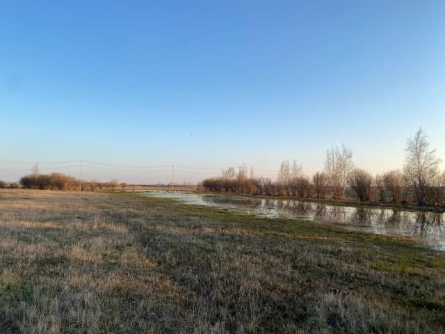 1207 м², земельные участки, продаю