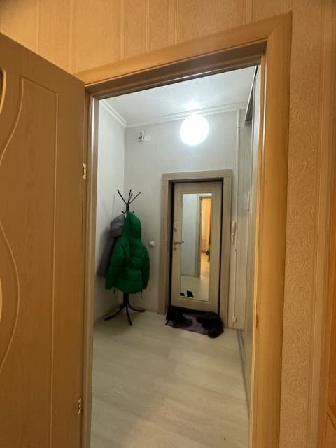 Студия, 24 м², Монолитно-каркасный, Гимеин 3