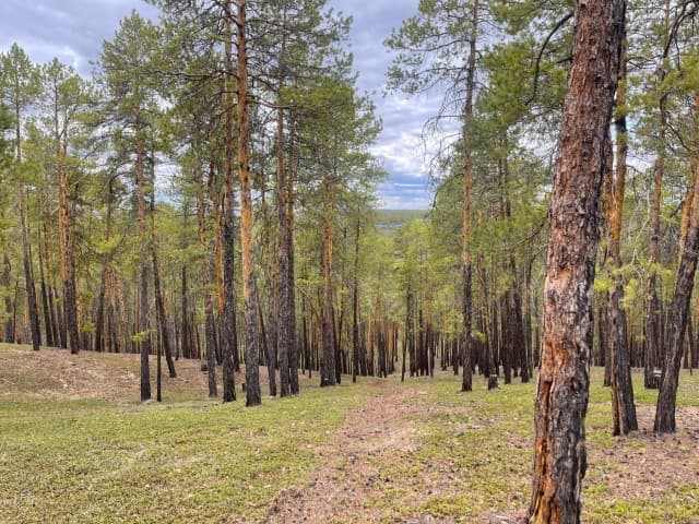 1145 м², земельные участки, продаю 2