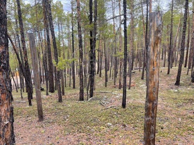 1145 м², земельные участки, продаю