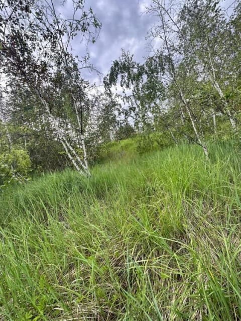 15 м², земельные участки, продаю 4