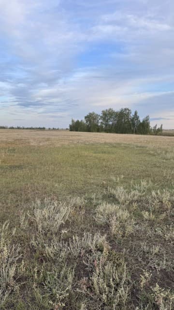 10 м², земельные участки, продаю