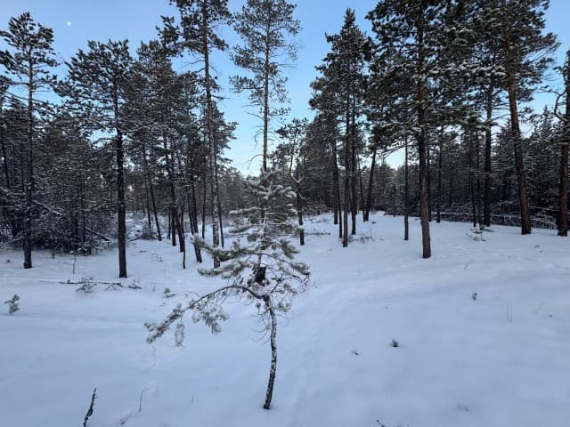 12 м², земельные участки, продаю 2