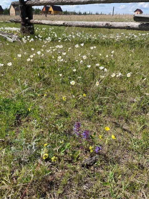 10 м², земельные участки, продаю 6