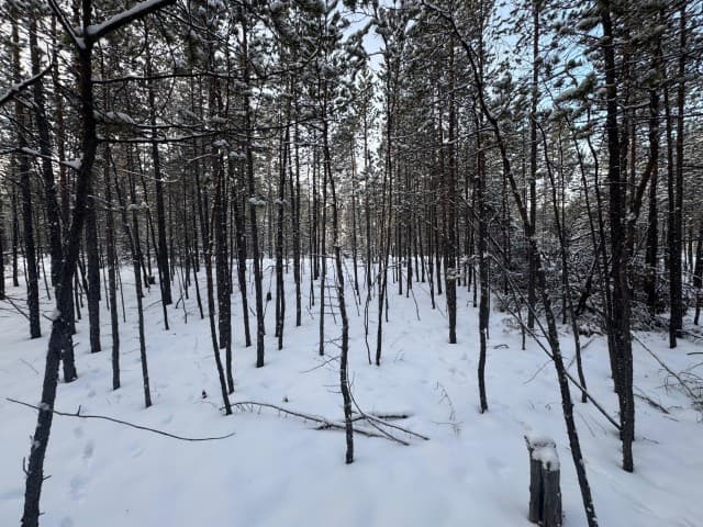 12 м², земельные участки, продаю