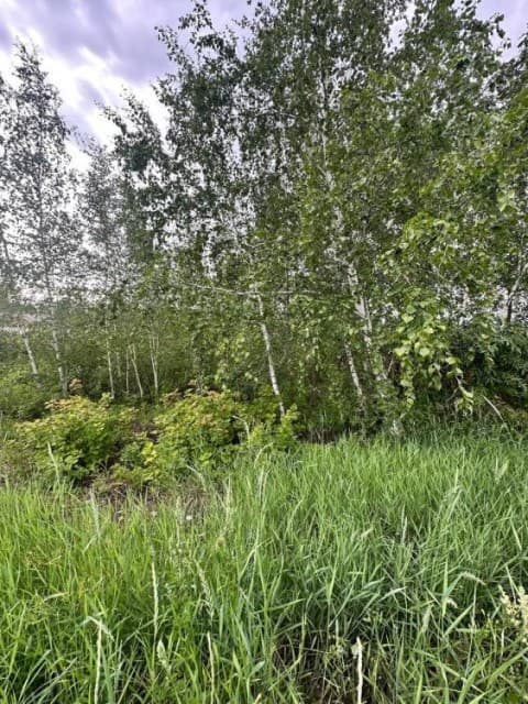 15 м², земельные участки, продаю 6