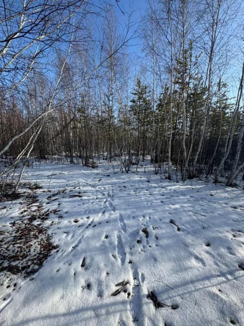 1000 м², земельные участки, продаю 3