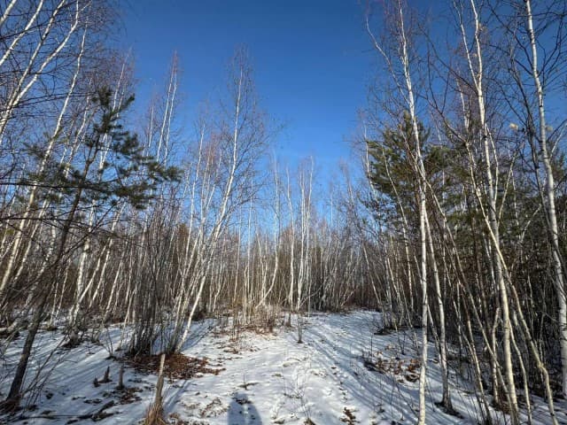 1000 м², земельные участки, продаю