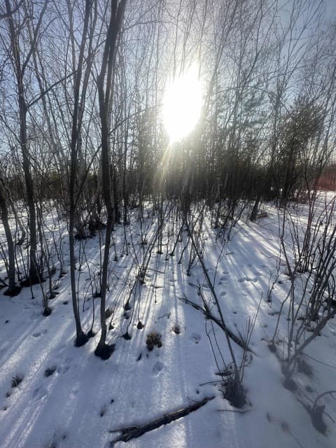 1000 м², земельные участки, продаю 5