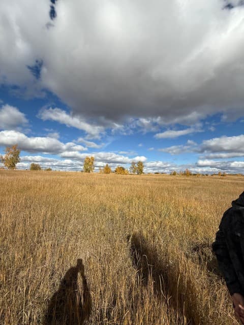 800 м², земельные участки, продаю 14