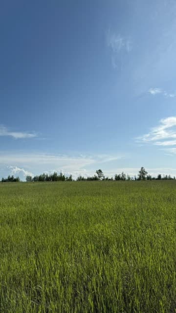 800 м², земельные участки, продаю 5