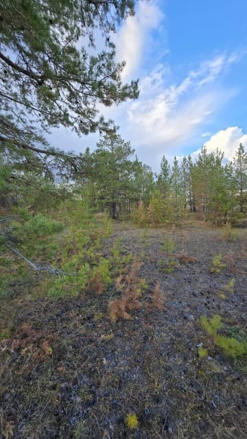 1200 м², земельные участки, продаю 2