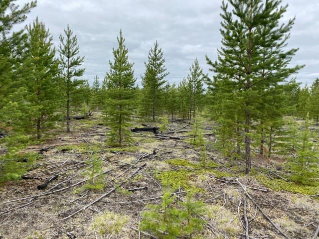 1200 м², земельные участки, продаю