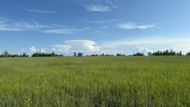 800 м², земельные участки, продаю 11