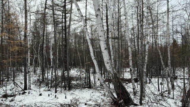 1350 м², земельные участки, продаю 4