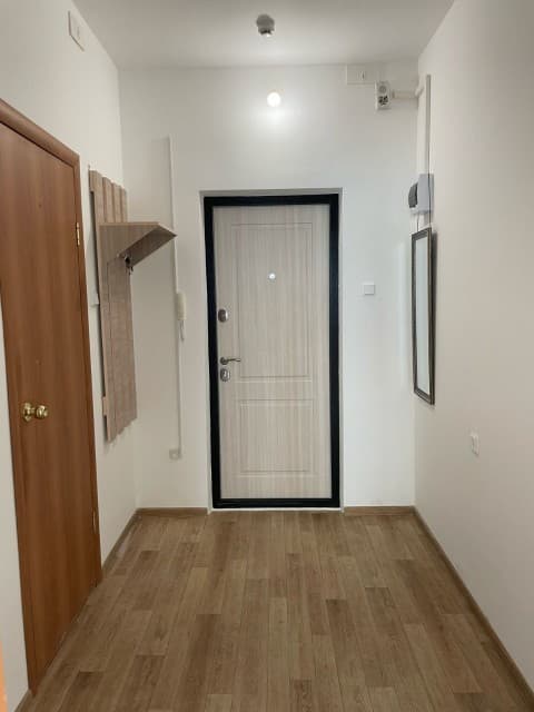 1 комн., 29 м², Монолитно-каркасный, ДСК 2