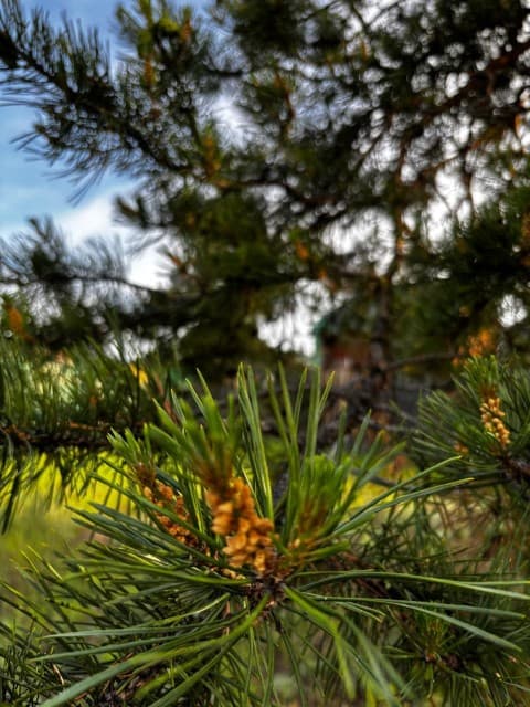 10 м², земельные участки, продаю 8