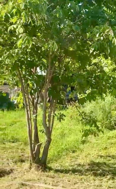 Земельные участки, продаю