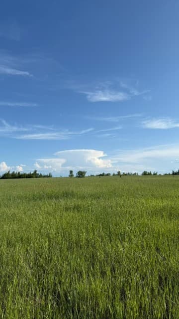 800 м², земельные участки, продаю