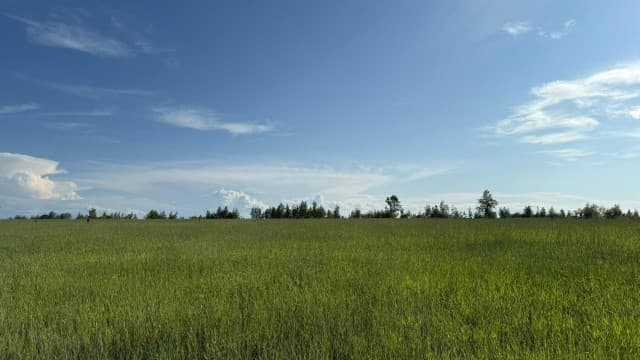 800 м², земельные участки, продаю 4