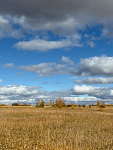 800 м², земельные участки, продаю 12