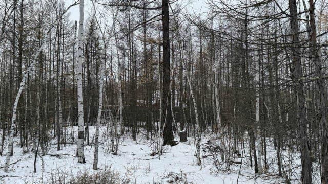 1350 м², земельные участки, продаю 3