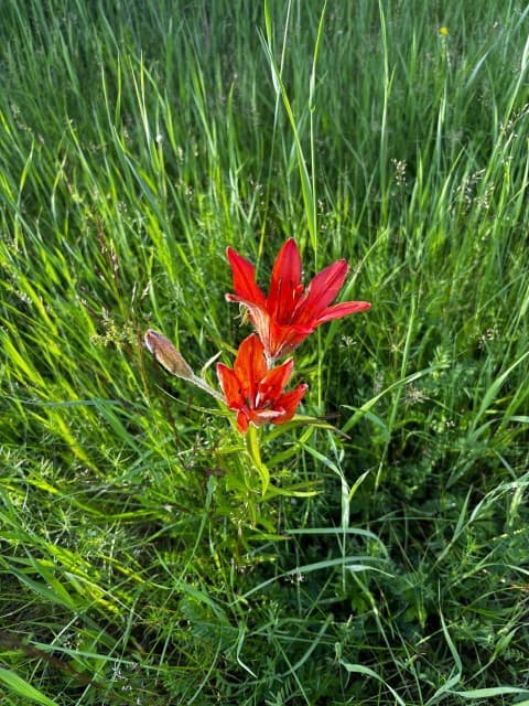 10 м², земельные участки, продаю 7