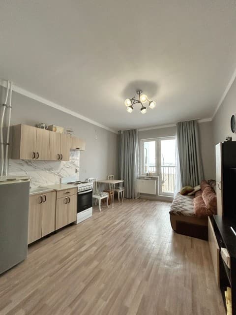 Студия, 27 м², Монолитно-каркасный