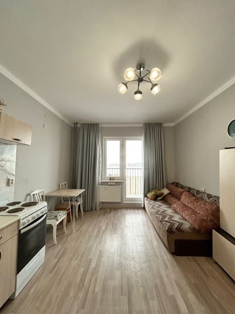 Студия, 27 м², Монолитно-каркасный 6