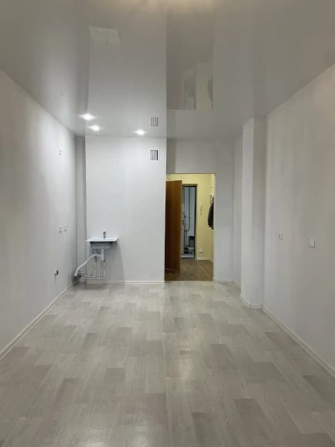 Студия, 29 м², Монолитно-каркасный, Сайсары