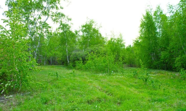 1513 м², земельные участки, продаю 5