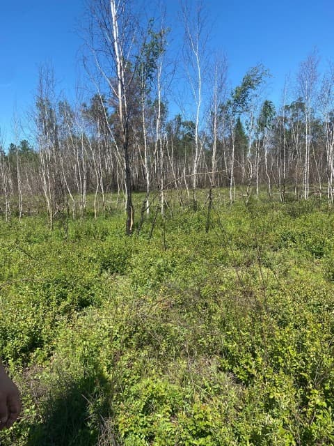 770 м², земельные участки, продаю 2