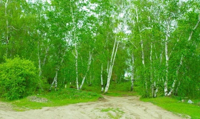 1513 м², земельные участки, продаю 12