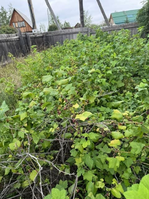 1000 м², земельные участки, продаю 4