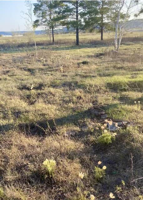 1013 м², земельные участки, продаю