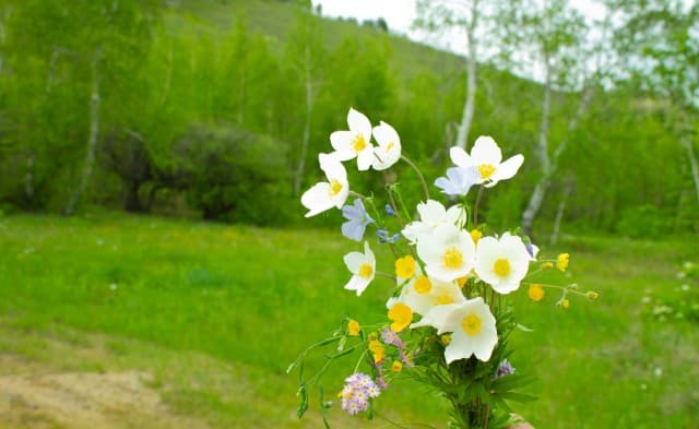 1513 м², земельные участки, продаю 10