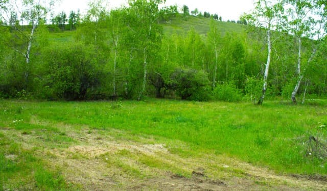 1513 м², земельные участки, продаю 4