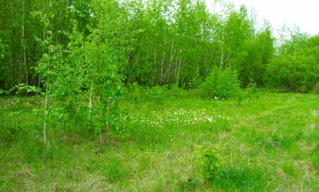 1513 м², земельные участки, продаю 11