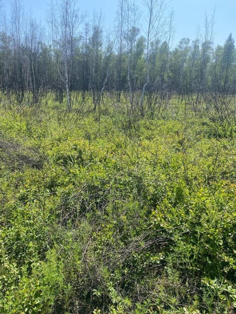 770 м², земельные участки, продаю 3